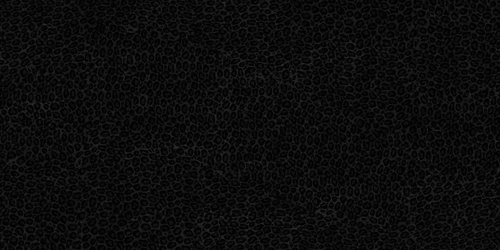 Black Panther Pelt