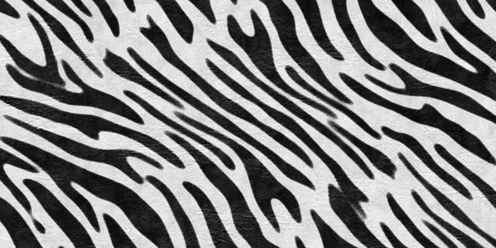 Brushed Zebra Ivory