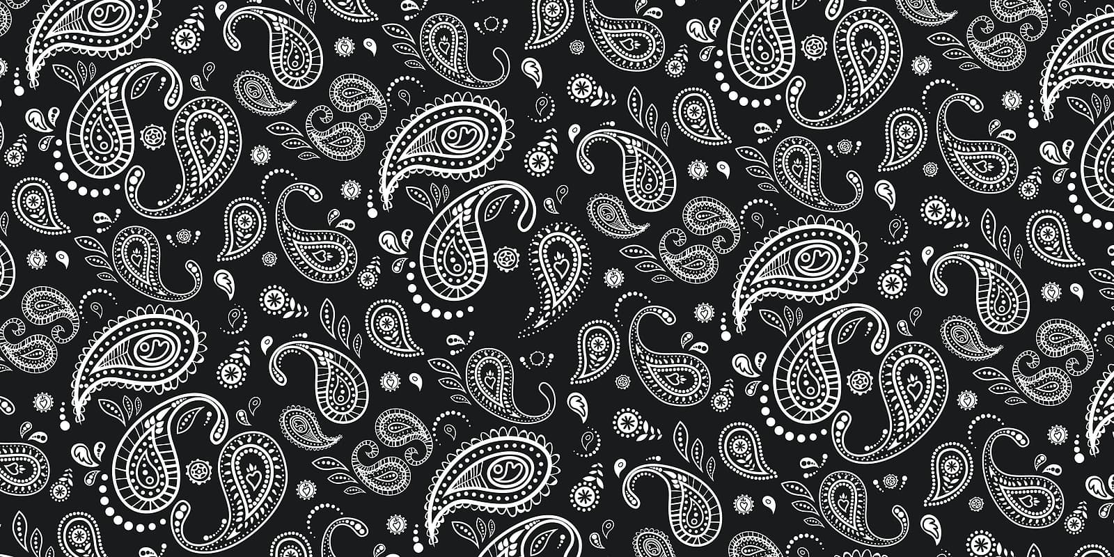 Outlaw Bandana Paisley Black