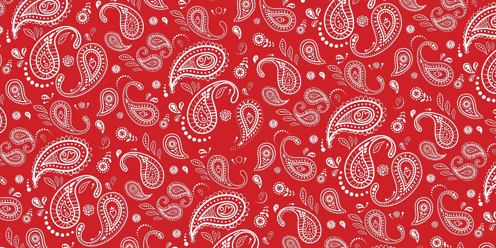 Outlaw Bandana Paisley Red