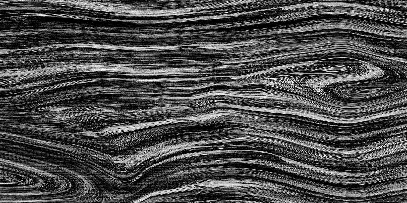 Silver Ebony Monochrome