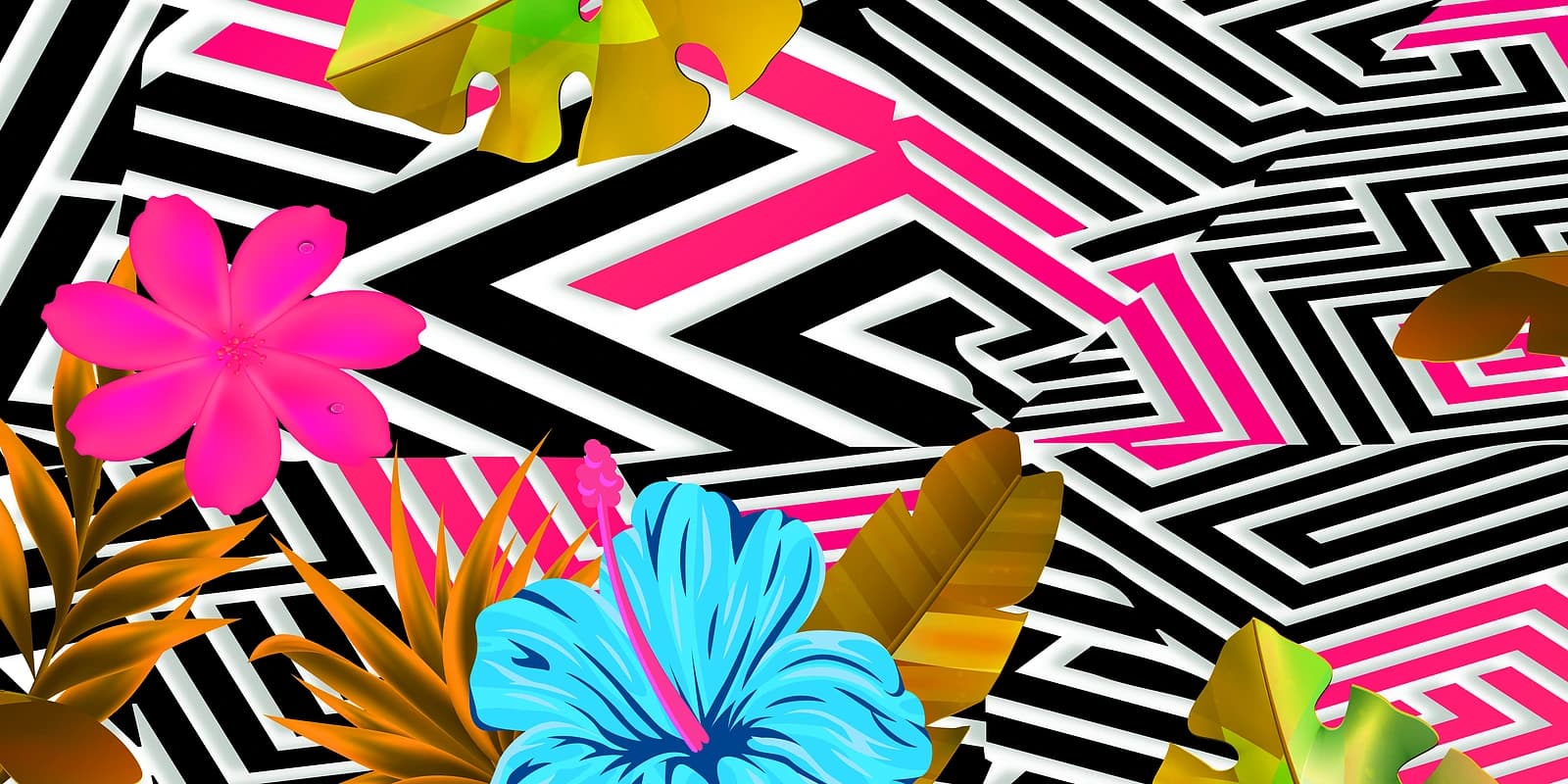 Tropical Pink Dazzle Bloom