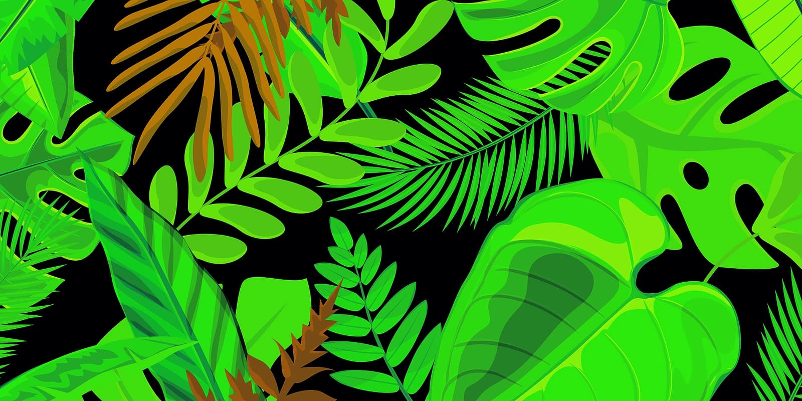 Verdant Tropical Canopy